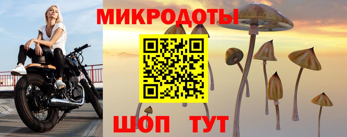 Псилоцибиновые грибы мицелий  Вход с VPN  Белебей 